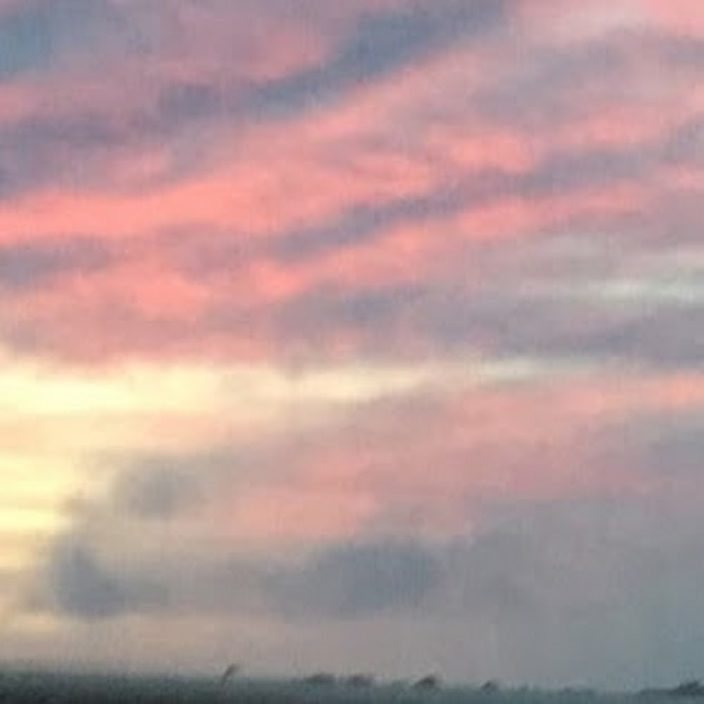 Meet your Posher, Dolores